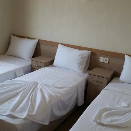 Lebedos 1 4* 古穆杜尔